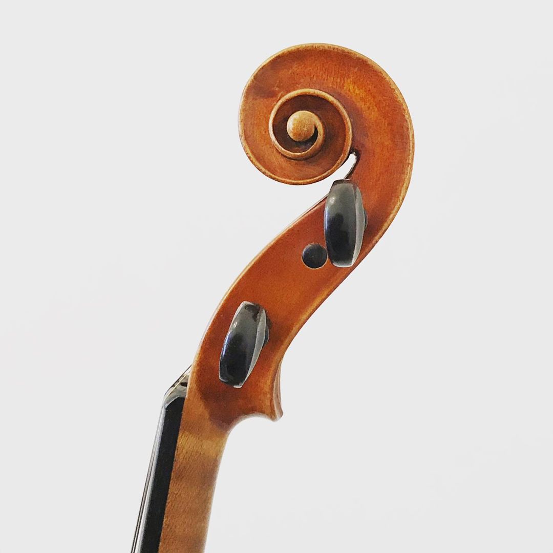 Eugenio degani violin deals price